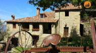 Country house with pool in Tuscany in organic farm near Arezzo
